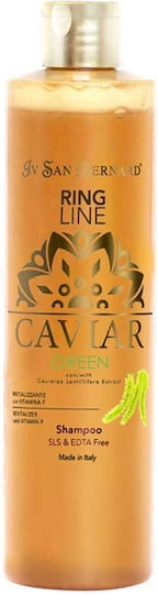 Iv San Bernard Green Caviar Shampoo für Hunde 1l