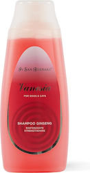 Iv San Bernard Vanesia Șampon Ginseng Pentru Câini și Pisici 300ml