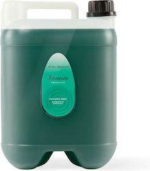 Iv San Bernard Herb Plant-based Refreshing Shampoo Cats Dogs 10l Iv San Bernard Herb Plant-based Refreshing Shampoo Cats Dogs 10l