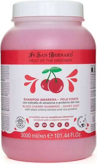 Iv San Bernard Schwarzes Kirsch Shampoo Für Neue Hunde Katzen 3l
