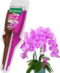 Bopon Eliksir Duo Orchids Nourishes Regenerates 35ml Disp 1 Pc Bopon Eliksir Duo Orchids Nourishes Regenerates 35ml Disp 1 Pc