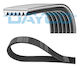 Dayco 6pk815s Rippierter Automotorriemen