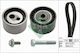 Ina Timing Belt Set 530 0095 10