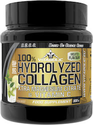 Vitabolic SRL 100% Colagen Hidrolizat 7500mg 300gr Fructe de Pădure