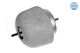 Engine Mount Meyle 100 199 0056