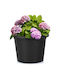 Vilde Ghiveci De Flori Din Plastic Negru 34x34 Cm