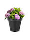 Vilde Kunststoff Blumentopf Schwarz 29x29cm