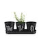 Orion Set of 4 Blackline Flower Pots with Saucer