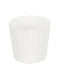 Kotarbau Γλάστρα Πλαστική White 15x15εκ.