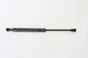 Triscan 8710 65209 Trunk Shock Absorber