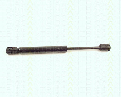Triscan Hood Shock Absorber 8710 16104