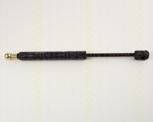 Triscan 8710 29219 Kofferraum-Schockabsorber