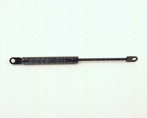 Triscan Kofferraum-Schock 8710 1101