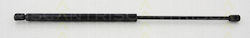 Triscan Trunk Shock Absorber 8710 29212