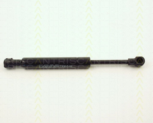 Triscan Kofferraum-Schock 8710 11219