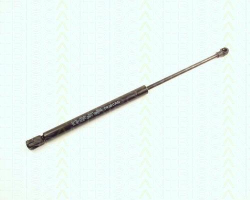 Triscan Kofferraum-Schock 8710 29118