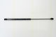 Triscan 8710 24226 Trunk Shock Absorber