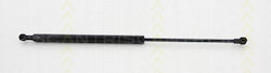 Triscan 8710 17219 Trunk Shock Absorber