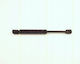 Triscan Hood Shock Absorber 8710 24102