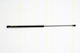 Triscan 8710 28232 Trunk Shock Absorber