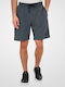 Herren Shorts Anthrazit