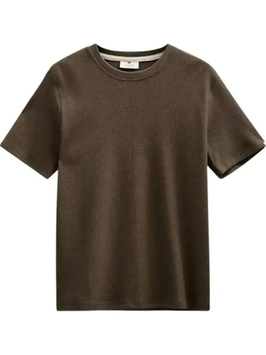 Akkikki T-shirt Teak