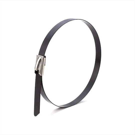 316 Plastic Cable Ties In Silver Colour 10 Pieces 022169
