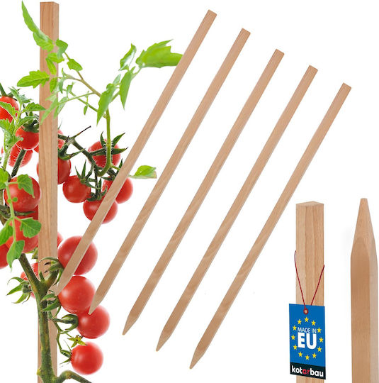 Kotarbau Holzpflanzenspieße Tomaten Gemüse Gartenstützen Bäume Sträucher 40 cm Set 5 Stück