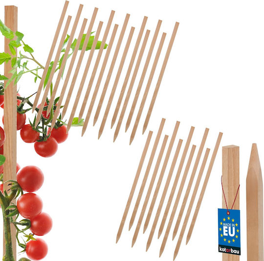 Kotarbau Holzpflanzenspieße Tomaten Gemüse Gartenstützen Bäume Sträucher 30 cm Set 25 Stück
