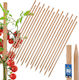 Kotarbau Holzpflanzenspieße Tomaten Gemüse Gartenstützen Bäume Sträucher 80 cm Set 20 Stück