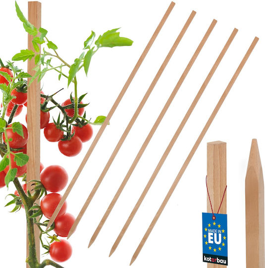 Kotarbau Holzpflanzenspieße Tomaten Gemüse Gartenstützen Bäume Sträucher 100 cm Set 5 Stück