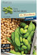 Fasole Mung Bean