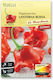 Spicy Pepper Laterna Red