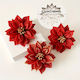 Christmas Flower