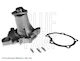 Blue Print Car Water Pump for Suzuki Alto