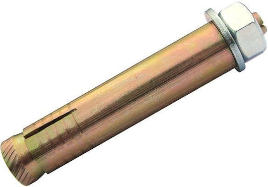 Ancore Cu Şurub Oţel 12*100/m8 2075.2003 Ancoră S12*81
