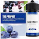 Flavourist Flavor Shot 25ml/120ml 1 Stück Eis, Vanille, Sirup & Blaubeere