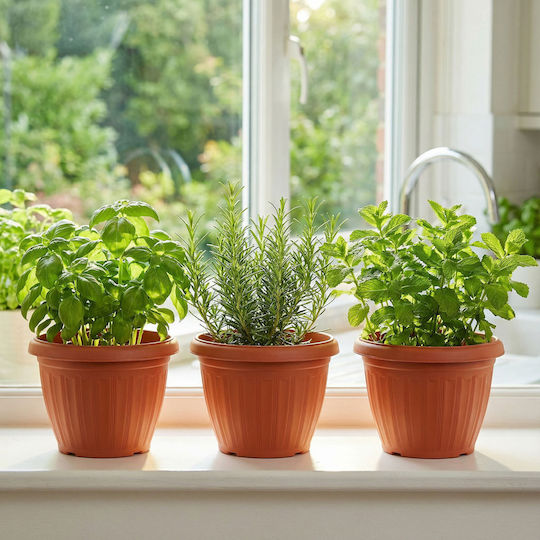 Plastic Flower Pot Terracotta Color Ø20 Cm Indoor Outdoor Plants