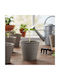 Biodegradable Seedling Pot Ø8 Cm Paper Round Set 10 Pcs Planting Plants