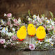Easter Decoration Yellow Chicks Set 3 Pcs 6.7 X 5 Cm Plastic Textile