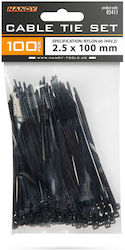 Plastik Kabelbinder 100×2,5 Mm Nylon Selbstsperrend Schwarz 100 Stück