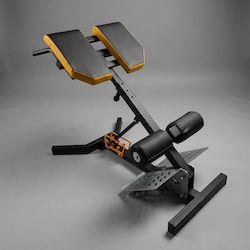 eBoxing Adjustable Workout Bench for Dorsal and Abdominal