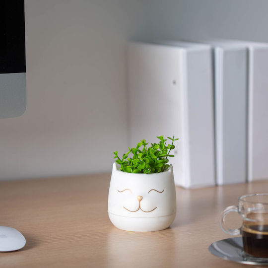 Decorative Artificial Plant In Pot Cat Head 14 Cm 3 Models Home Office Decor