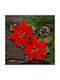Poinsettia Flower Red 13x13 Cm Set 2 Pieces Artificial Flower