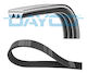 Dayco Ribbed Transmission Belt 3pk788