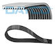 Dayco Rippierter Getriebe Gurt 10er Pack 1850HD