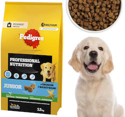 Pedigree Professional Nutrition 12kg Dry Food for Medium and Large Breed Puppies with Poultry and Vegetables Pedigree Professional Nutrition 12kg Dry Food for Medium and Large Breed Puppies with Poultry and Vegetables