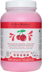 Iv San Bernard Black Cherry Pek Supreme New Balm Pentru Câini Și Pisici 3L Iv San Bernard Black Cherry Pek Supreme New Balm Pentru Câini Și Pisici 3L