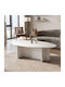 Oval Central Coffee Table Ravey Wooden White L120xW60xH39.6cm