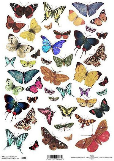 256115 Reispapier Schmetterlinge 1 21x29cm Itd-r230 Decoupage Set 3 Stücke